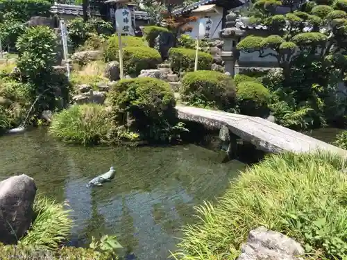 専精寺の庭園