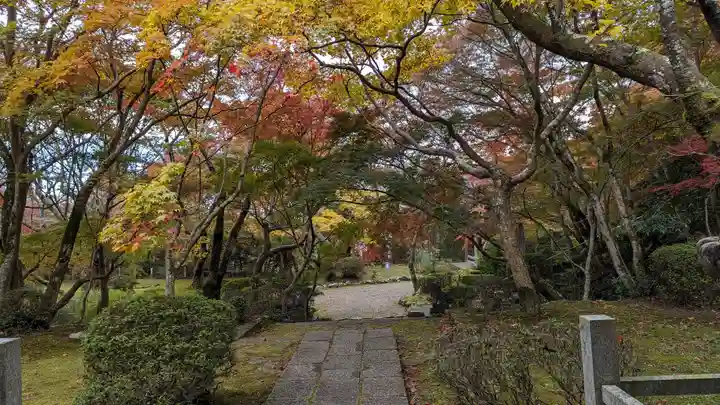 勝持寺(花の寺)(京都府)