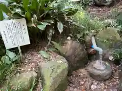 尾張冨士大宮浅間神社(愛知県)