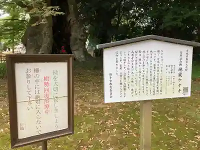 高源寺(茨城県)