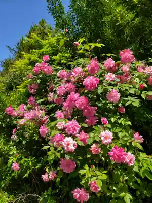 神炊館神社 ⁂奥州須賀川総鎮守⁂(福島県)
