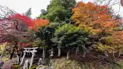 日吉神社(京都府)