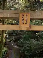 湖千海神社(岐阜県)