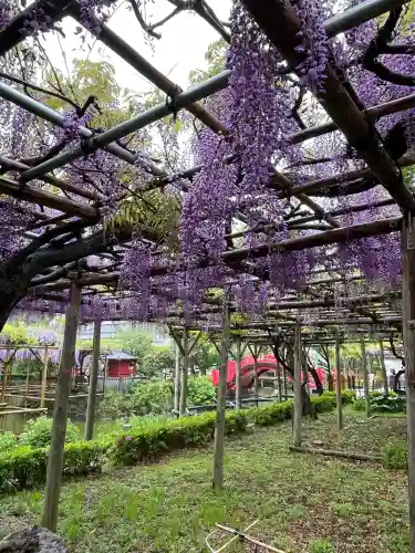 亀戸天神社(東京都)