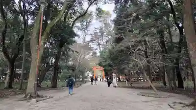賀茂御祖神社（下鴨神社）(京都府)