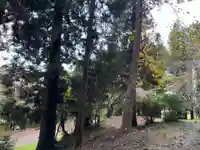 大宮温泉神社(栃木県)