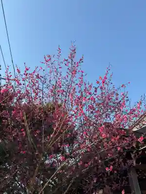 久里浜天神社の{uncategorized: "未分類", other: "その他", undefined: "問題あり", building: "その他建物", grave: "お墓", sacred_gate: "鳥居", guardian: "狛犬", statue: "像", buddha: "仏像", history: "歴史", nature: "自然", garden: "庭園", animal: "動物", pagoda: "塔", temizu: "手水舎", mountain_gate: "山門・神門", sanctuary: "本殿・本堂", subordinate: "末社・摂社", art: "芸術", scenery: "景色", jizo: "地蔵", ema: "絵馬", goshuin: "御朱印", omikuji: "おみくじ", items: "授与品その他", amulet: "お守り", goshuincho: "御朱印帳", eats: "食事", festival: "お祭り", votive_dance: "神楽", shichigosan: "七五三参", wedding: "結婚式", experience: "体験その他", initially: "初詣", around: "周辺", anti_infection: "感染症対策"}