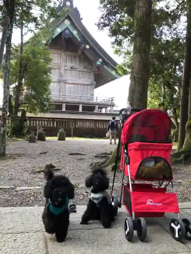 出雲大社の本殿