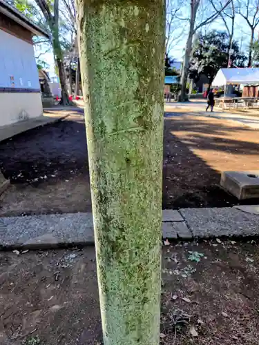 神明大神（中丸子神社）(神奈川県)