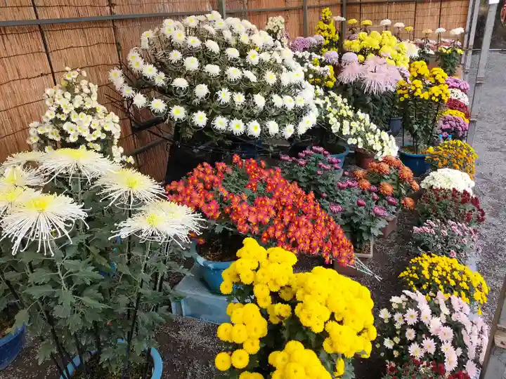 津島神社の自然