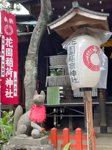 花園稲荷神社の狛犬