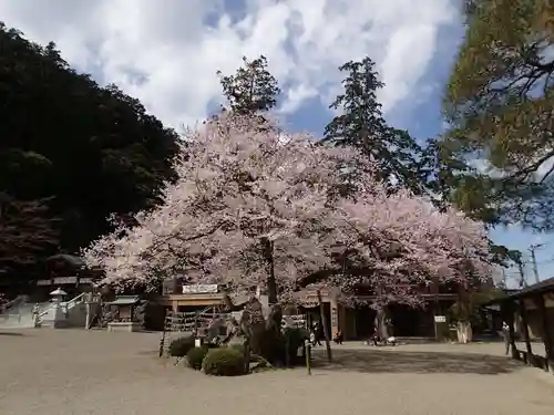 高麗神社の庭園