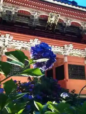 楽法寺(雨引観音)の山門・神門