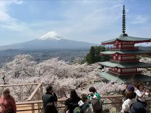 新倉富士浅間神社(山梨県)