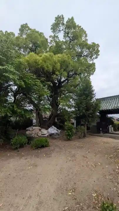 光瀬寺(京都府)