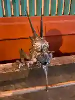 神田神社(神田明神)の{uncategorized: "未分類", other: "その他", undefined: "問題あり", building: "その他建物", grave: "お墓", sacred_gate: "鳥居", guardian: "狛犬", statue: "像", buddha: "仏像", history: "歴史", nature: "自然", garden: "庭園", animal: "動物", pagoda: "塔", temizu: "手水舎", mountain_gate: "山門・神門", sanctuary: "本殿・本堂", subordinate: "末社・摂社", art: "芸術", scenery: "景色", jizo: "地蔵", ema: "絵馬", goshuin: "御朱印", omikuji: "おみくじ", items: "授与品その他", amulet: "お守り", goshuincho: "御朱印帳", eats: "食事", festival: "お祭り", votive_dance: "神楽", shichigosan: "七五三参", wedding: "結婚式", experience: "体験その他", initially: "初詣", around: "周辺", anti_infection: "感染症対策"}