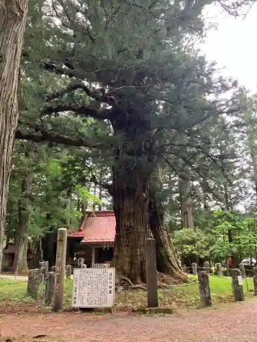塩原八幡宮(栃木県)