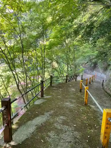 善峯寺(京都府)