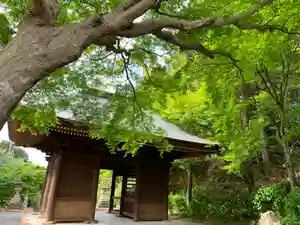 普門寺(切り絵御朱印発祥の寺)の山門・神門(2021年04月26日(月) 21時28分38秒投稿)