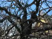 湯島天満宮(東京都)