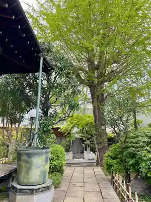 南泉寺(東京都)