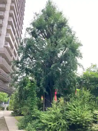 成子天神社(東京都)