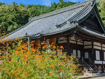 柳谷観音　楊谷寺(京都府)