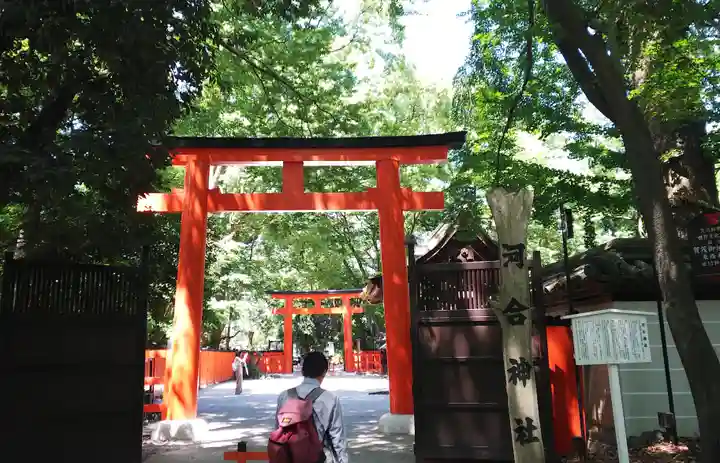河合神社(鴨川合坐小社宅神社)の鳥居