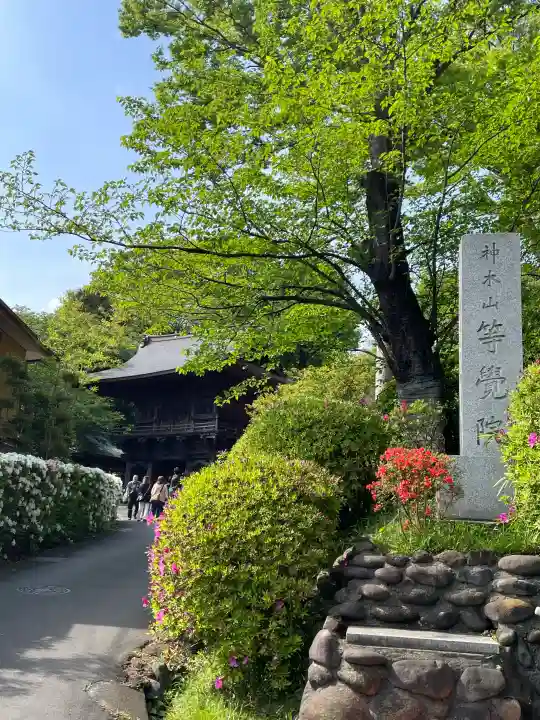 等覚院(神奈川県)