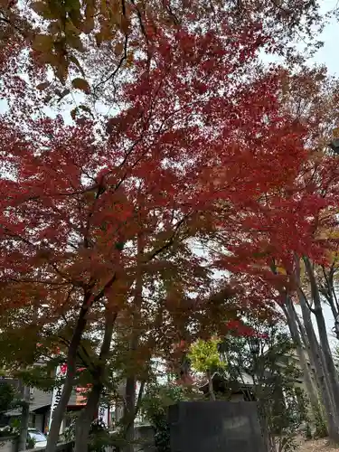 小野神社(東京都)