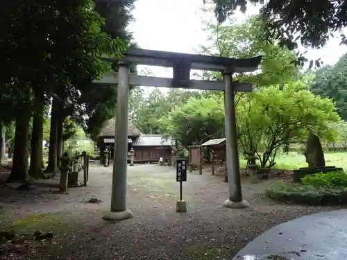 十島菅原神社の鳥居