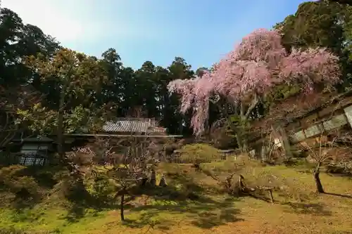 瑞巌寺の庭園