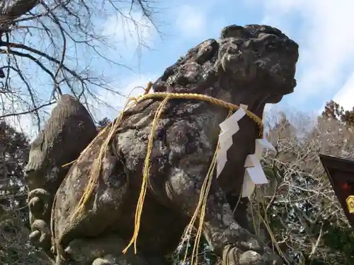 水戸八幡宮の狛犬