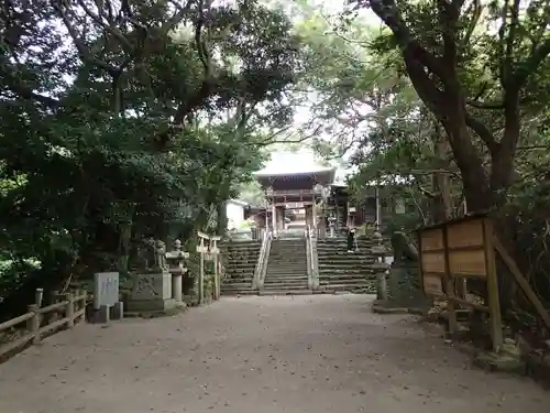 志賀海神社の自然