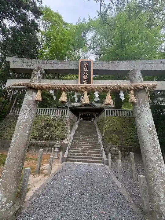 事任八幡宮の{uncategorized: "未分類", other: "その他", undefined: "問題あり", building: "その他建物", grave: "お墓", sacred_gate: "鳥居", guardian: "狛犬", statue: "像", buddha: "仏像", history: "歴史", nature: "自然", garden: "庭園", animal: "動物", pagoda: "塔", temizu: "手水舎", mountain_gate: "山門・神門", sanctuary: "本殿・本堂", subordinate: "末社・摂社", art: "芸術", scenery: "景色", jizo: "地蔵", ema: "絵馬", goshuin: "御朱印", omikuji: "おみくじ", items: "授与品その他", amulet: "お守り", goshuincho: "御朱印帳", eats: "食事", festival: "お祭り", votive_dance: "神楽", shichigosan: "七五三参", wedding: "結婚式", experience: "体験その他", initially: "初詣", around: "周辺", anti_infection: "感染症対策"}