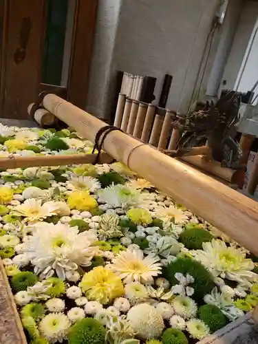 高円寺氷川神社の手水