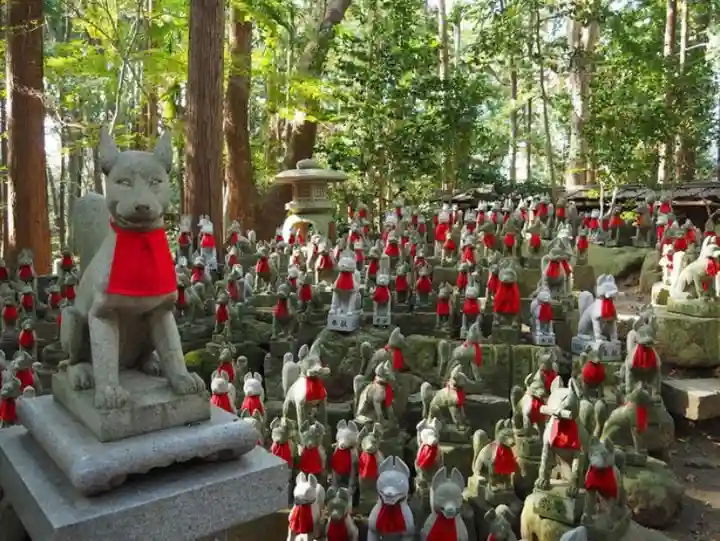 豊川閣 妙厳寺の狛犬