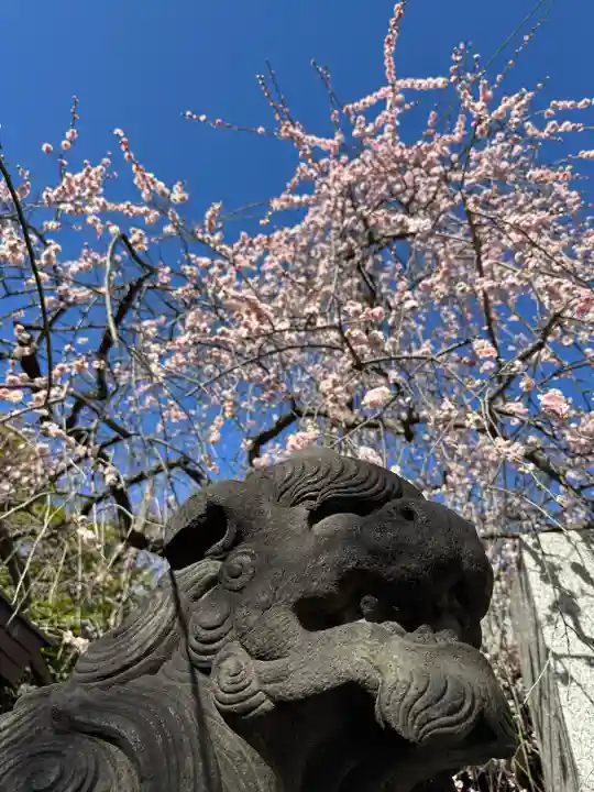 牛天神北野神社(東京都)