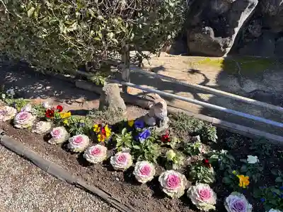 正等山 円福寺(愛知県)