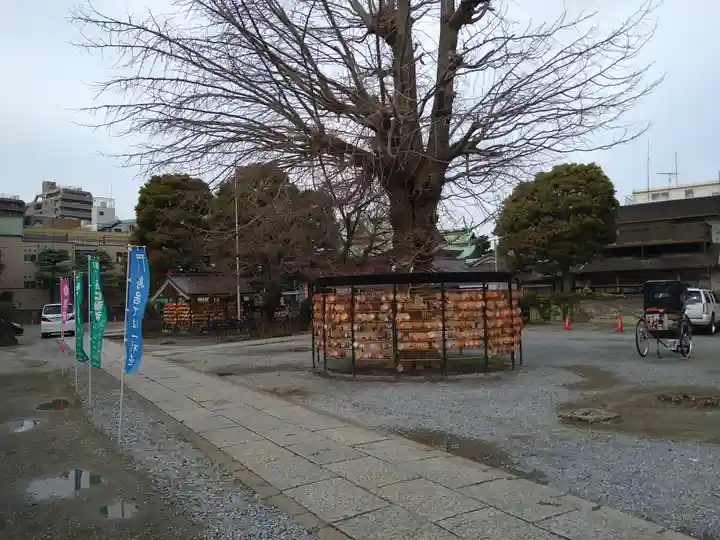 今戸神社(東京都)