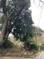 宗像神社(千葉県)