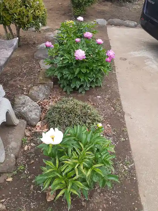 伏木香取神社の庭園