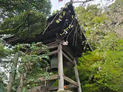 慈尊院(和歌山県)