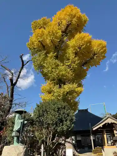 長王寺の景色