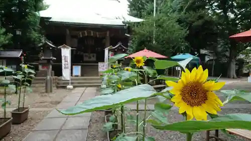 上目黒氷川神社のその他建物