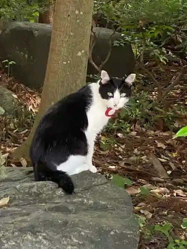 榛名神社(群馬県)