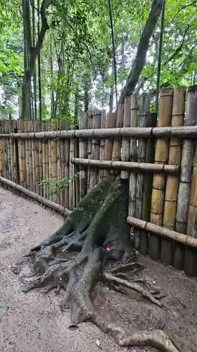 八重垣神社(島根県)