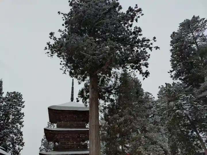 若一王子神社(長野県)