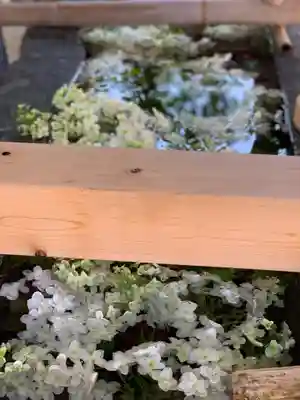 賀茂別雷神社（上賀茂神社）(京都府)