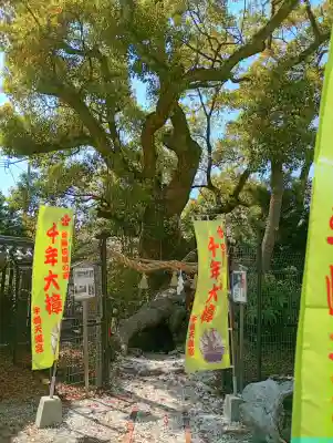 牛嶋天満宮の{uncategorized: "未分類", other: "その他", undefined: "問題あり", building: "その他建物", grave: "お墓", sacred_gate: "鳥居", guardian: "狛犬", statue: "像", buddha: "仏像", history: "歴史", nature: "自然", garden: "庭園", animal: "動物", pagoda: "塔", temizu: "手水舎", mountain_gate: "山門・神門", sanctuary: "本殿・本堂", subordinate: "末社・摂社", art: "芸術", scenery: "景色", jizo: "地蔵", ema: "絵馬", goshuin: "御朱印", omikuji: "おみくじ", items: "授与品その他", amulet: "お守り", goshuincho: "御朱印帳", eats: "食事", festival: "お祭り", votive_dance: "神楽", shichigosan: "七五三参", wedding: "結婚式", experience: "体験その他", initially: "初詣", around: "周辺", anti_infection: "感染症対策"}